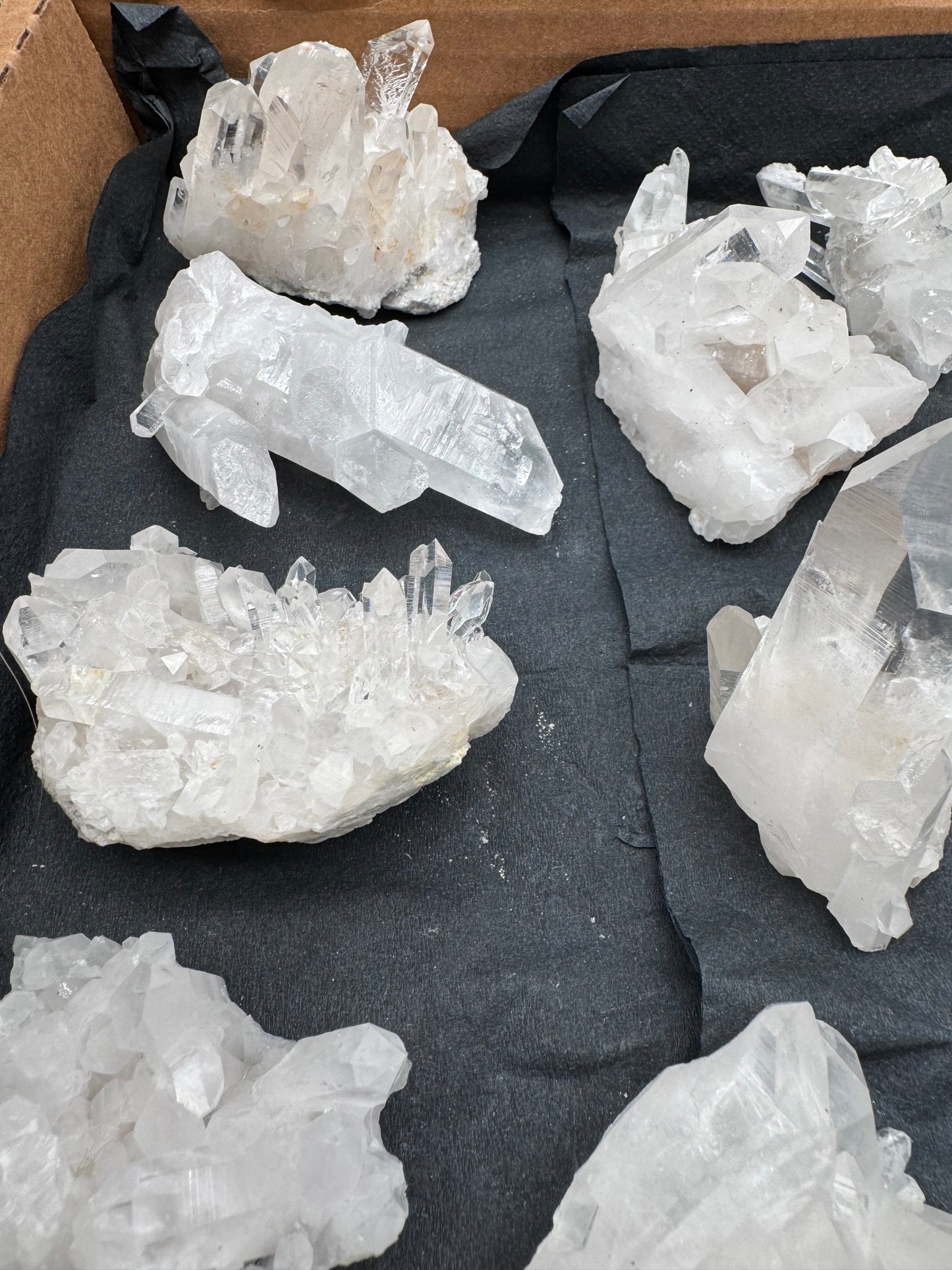 5lb Flat of Medium/Small Clusters