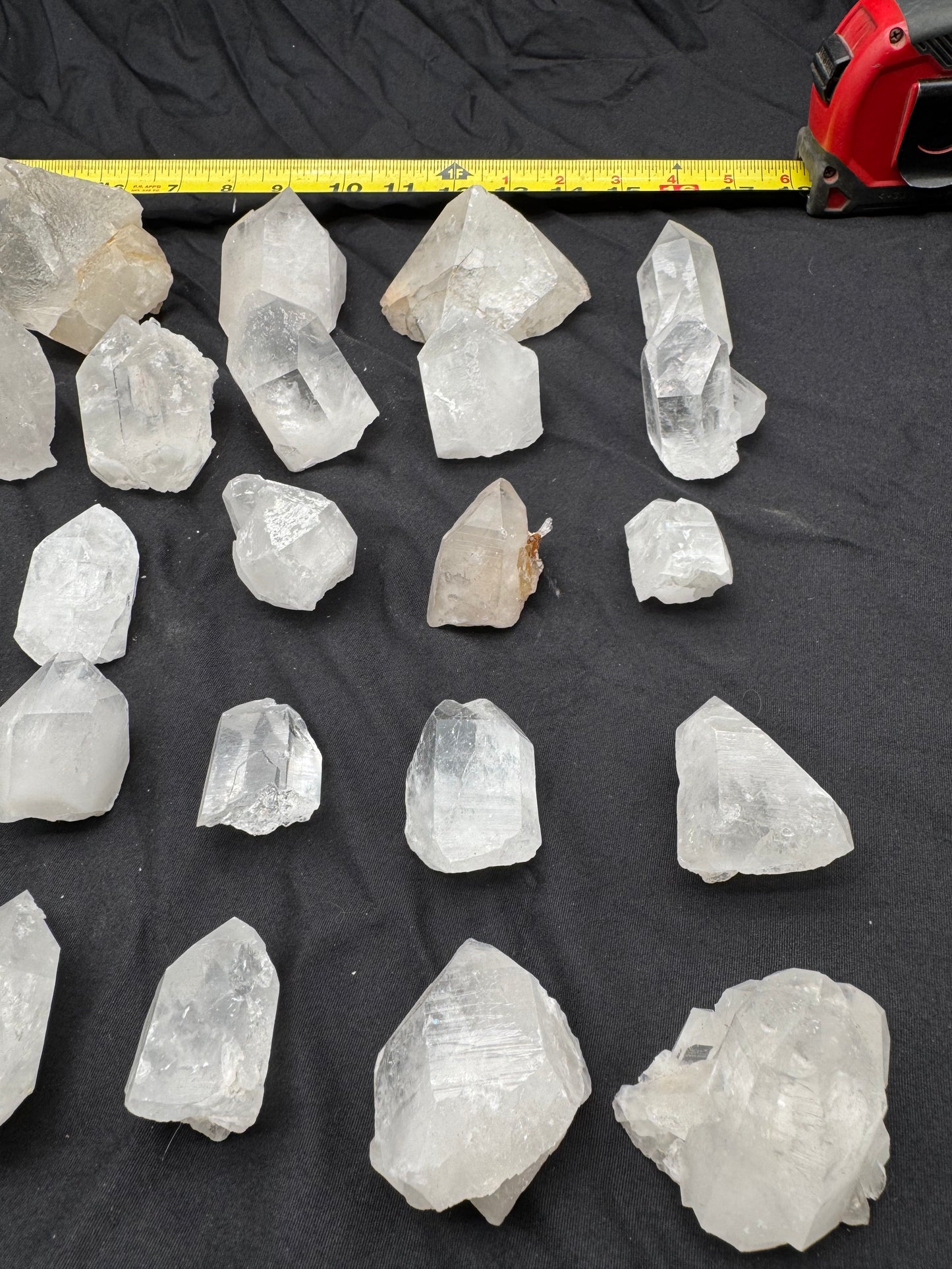 5.95lb Flat of Medium Points