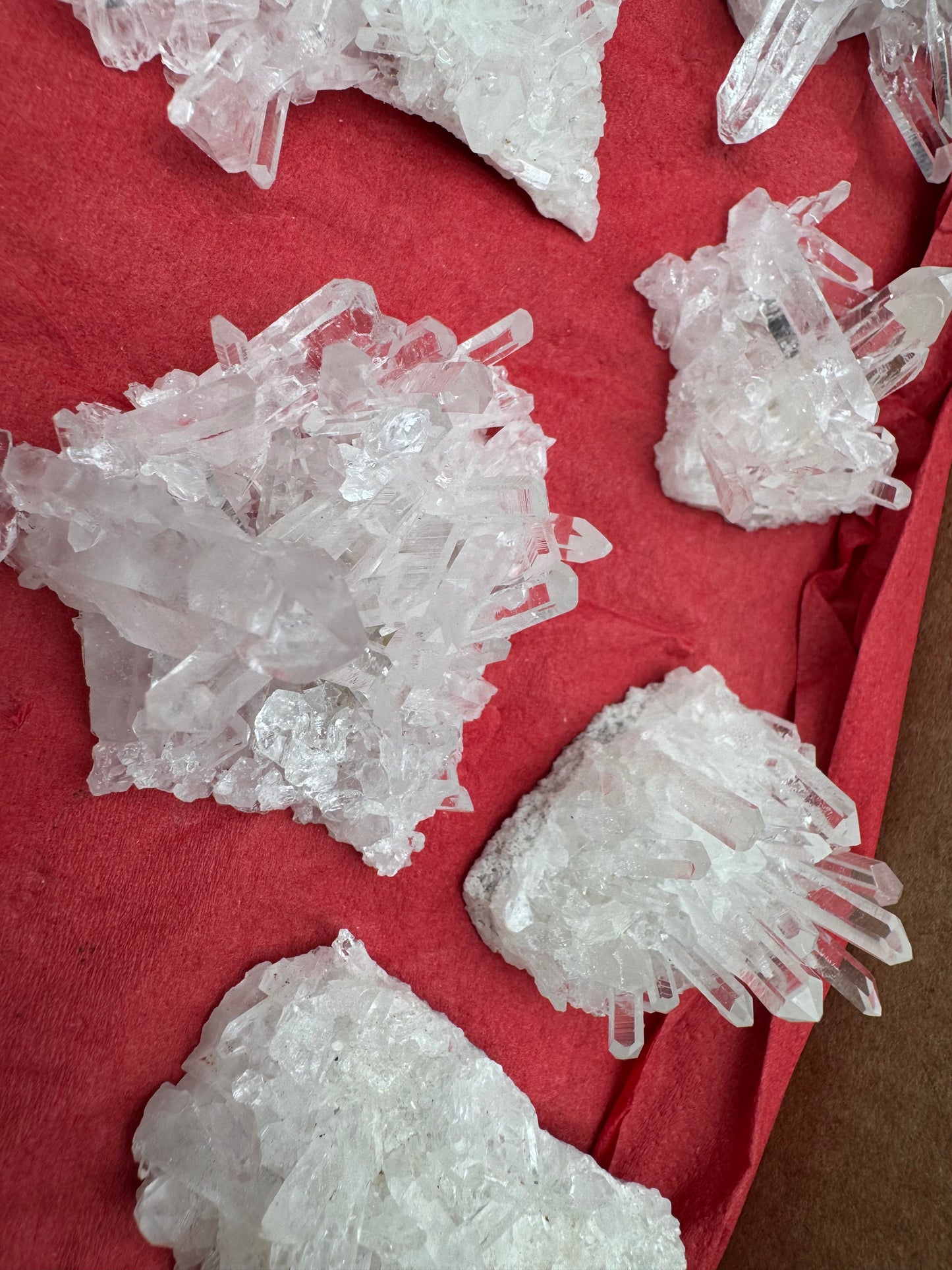1.7lb Flat Glassback Small Clusters
