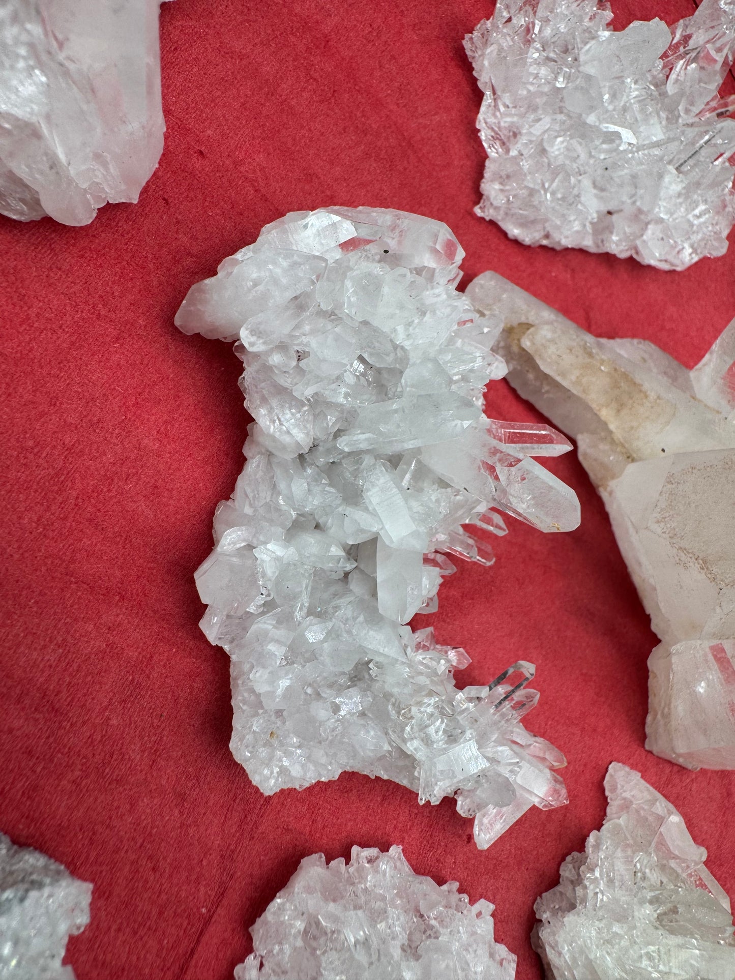 1.7lb Flat Glassback Small Clusters