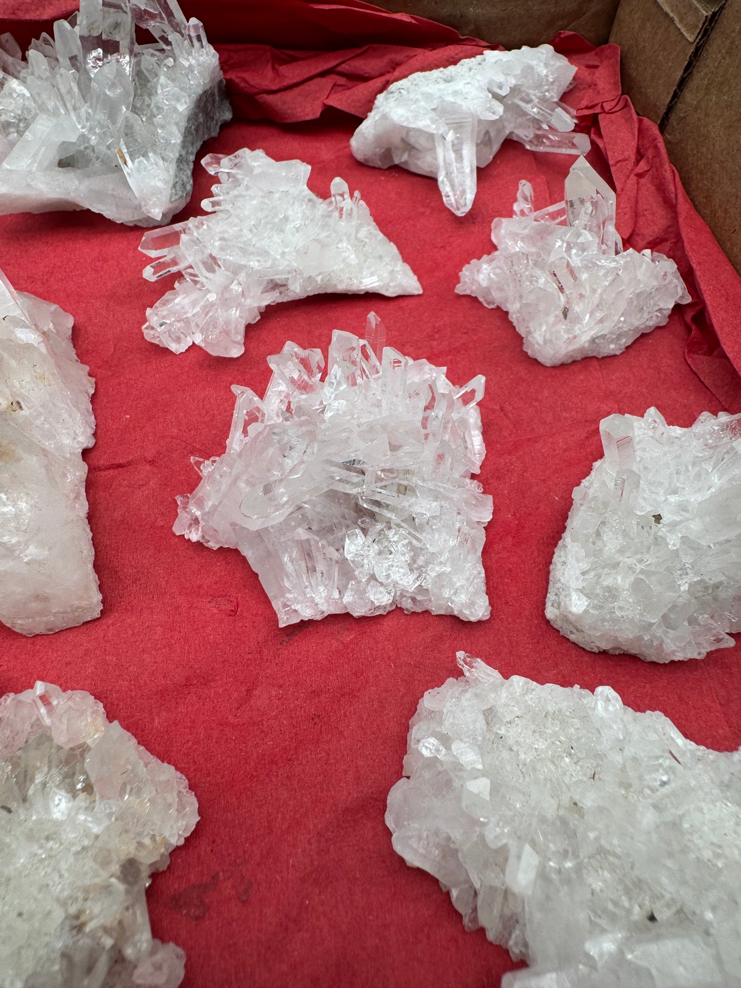1.7lb Flat Glassback Small Clusters
