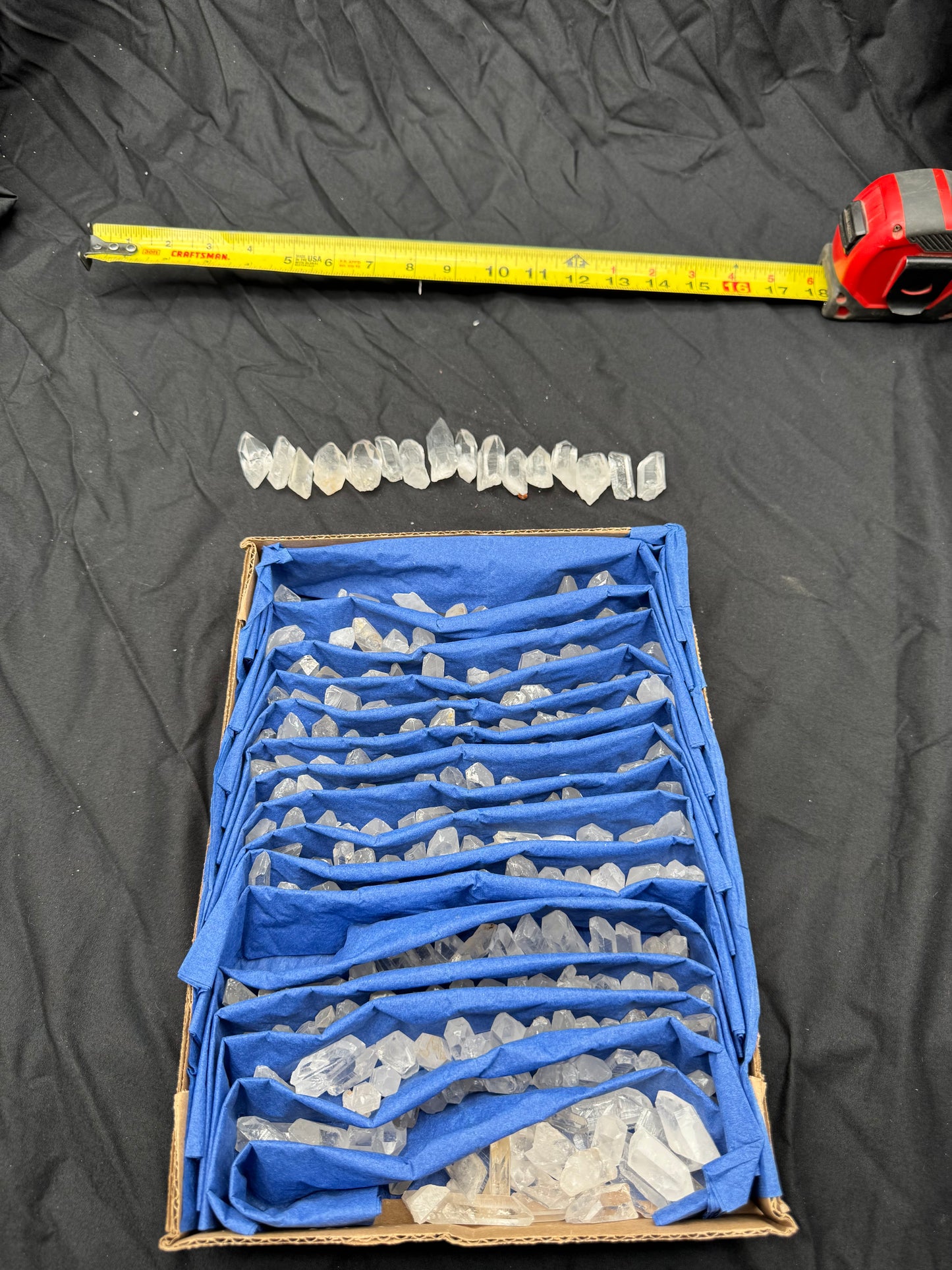 5.95lb Flat of Small Points