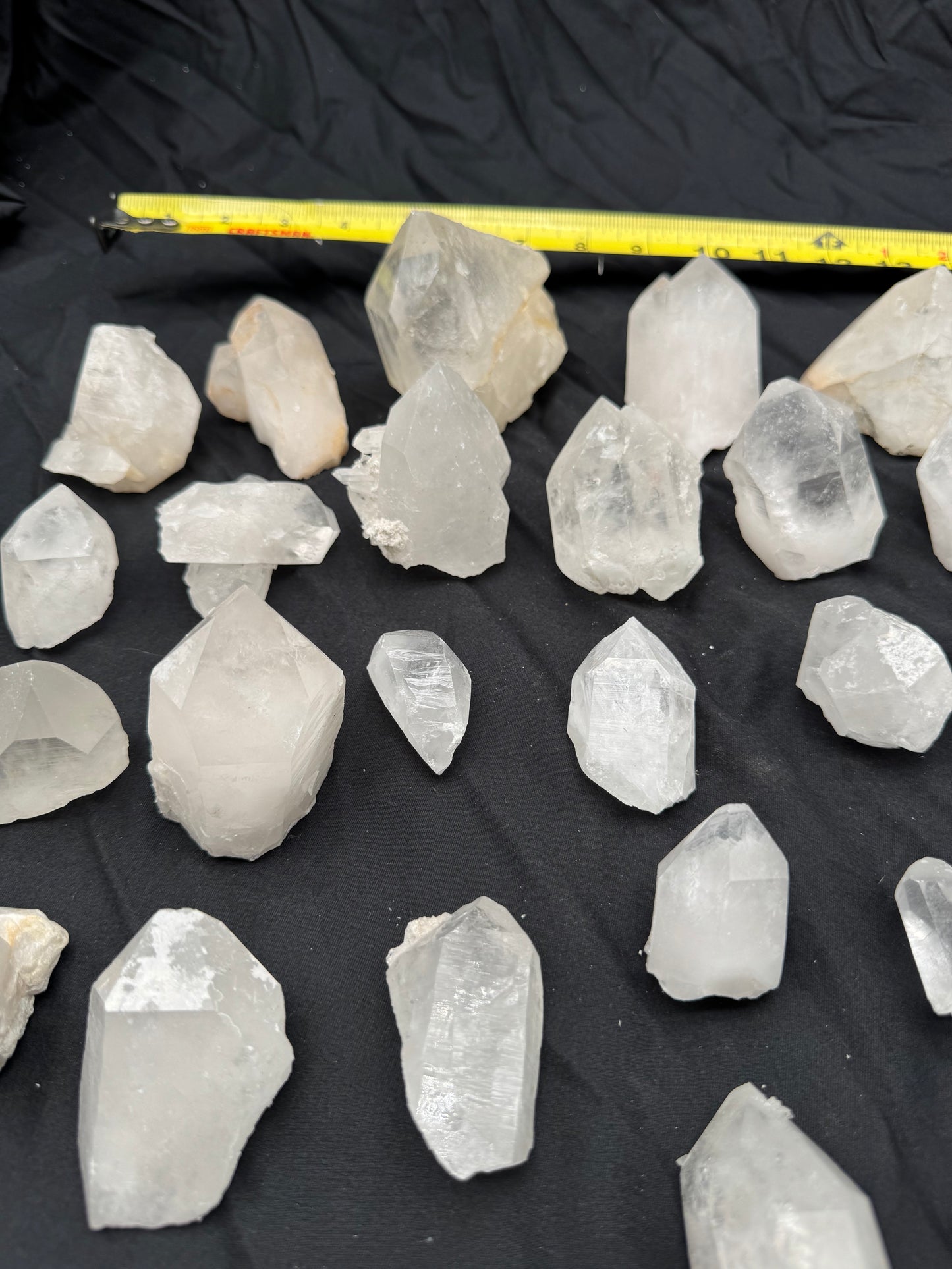 5.95lb Flat of Medium Points