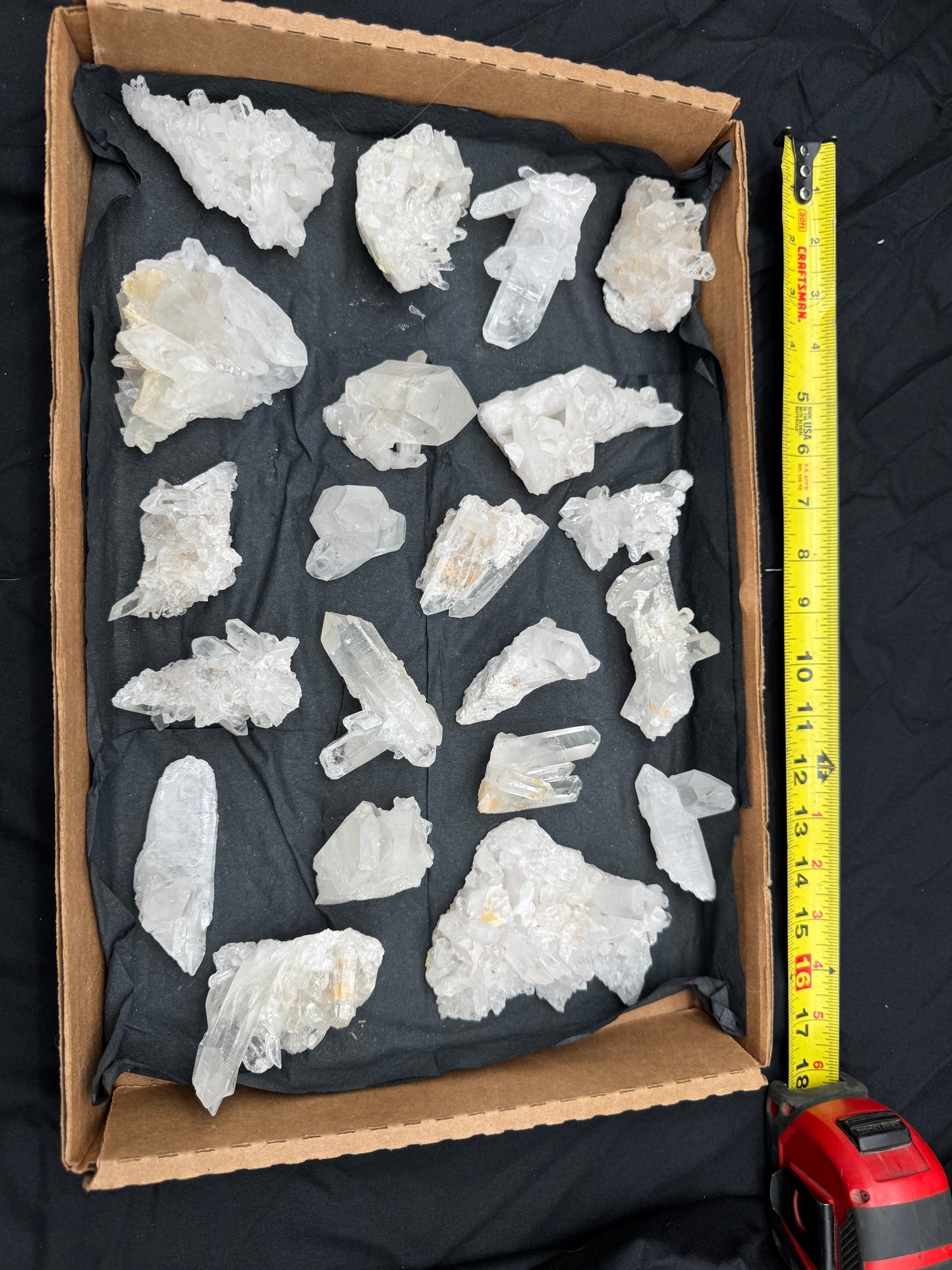 5lb Flat of Medium/Small Clusters