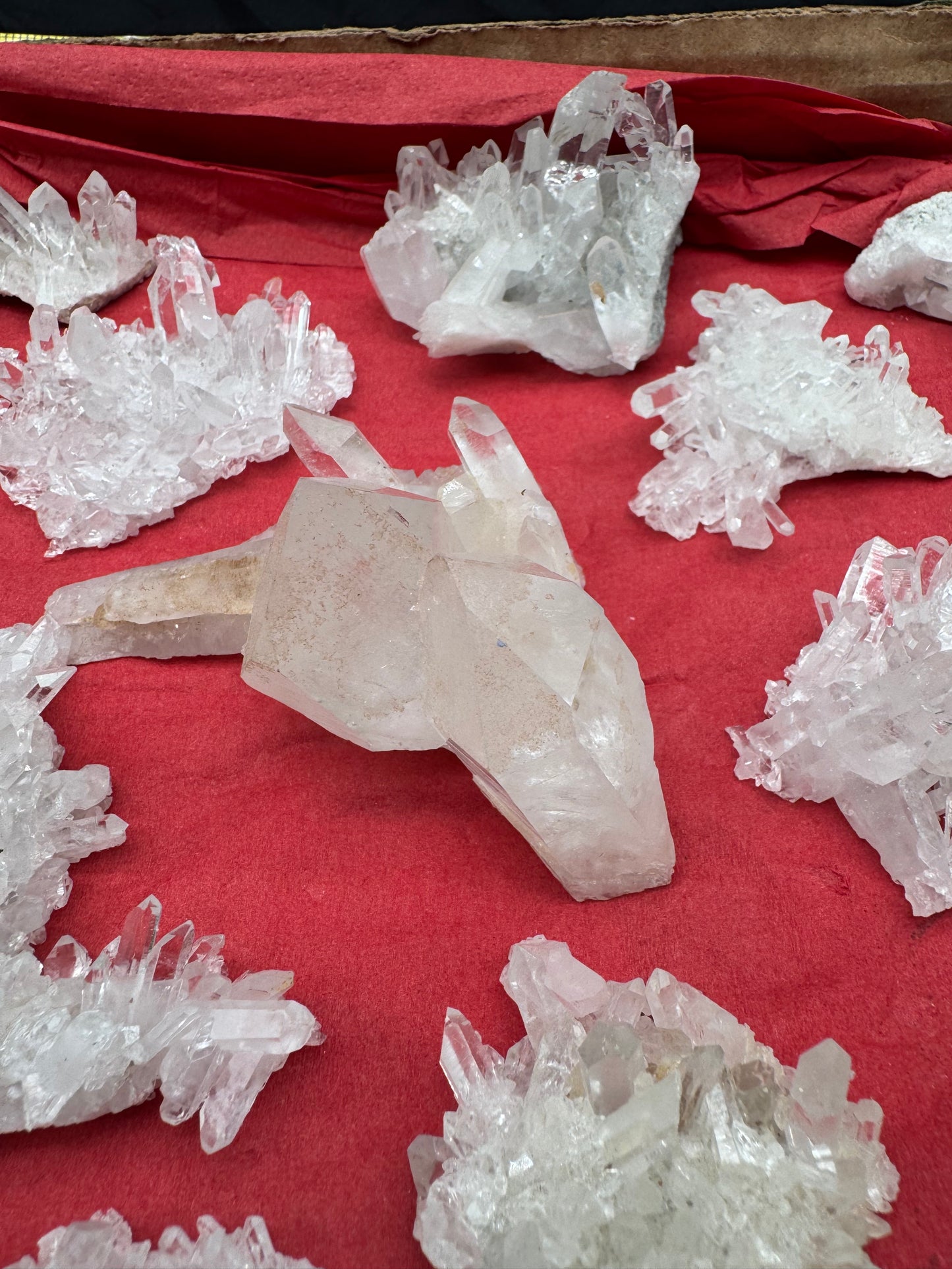1.7lb Flat Glassback Small Clusters