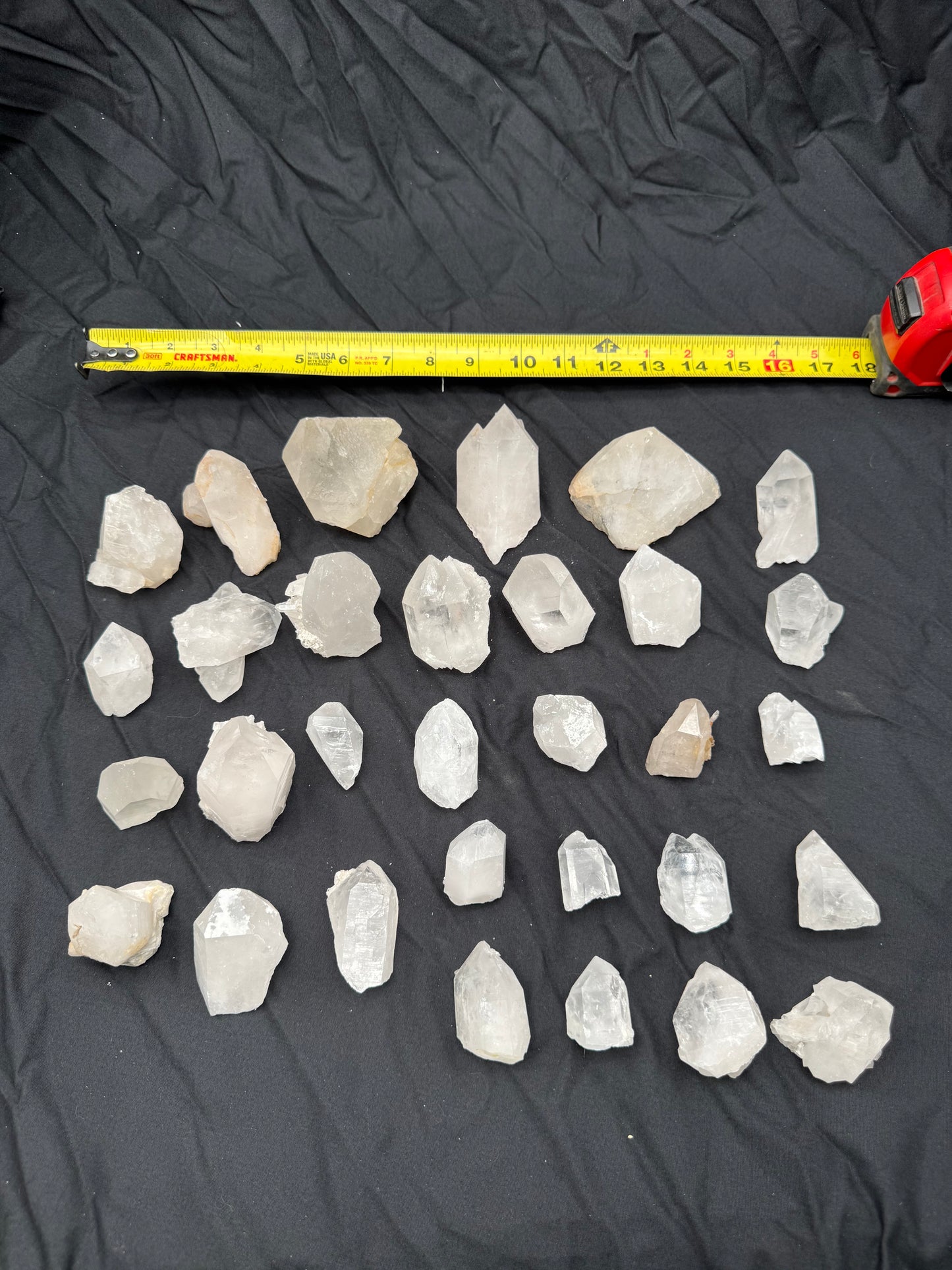 5.95lb Flat of Medium Points