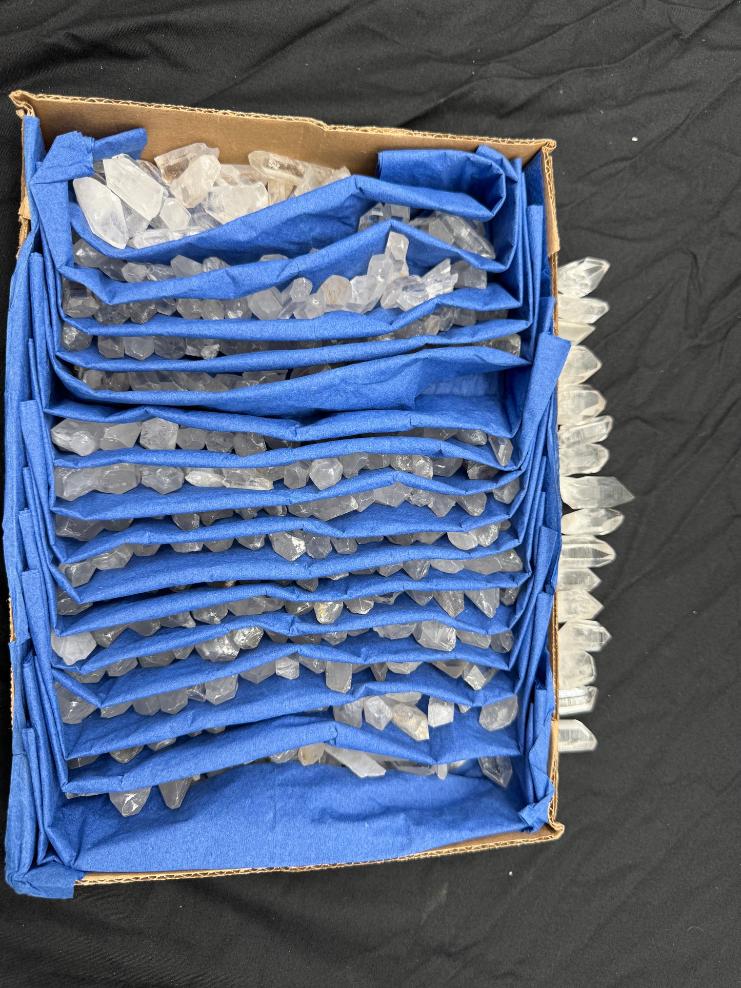 5.95lb Flat of Small Points