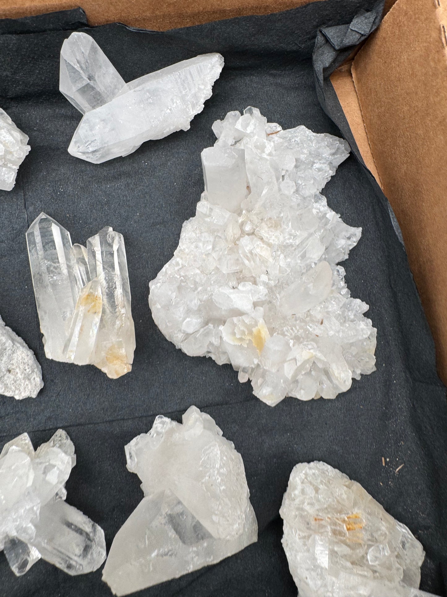 5lb Flat of Medium/Small Clusters