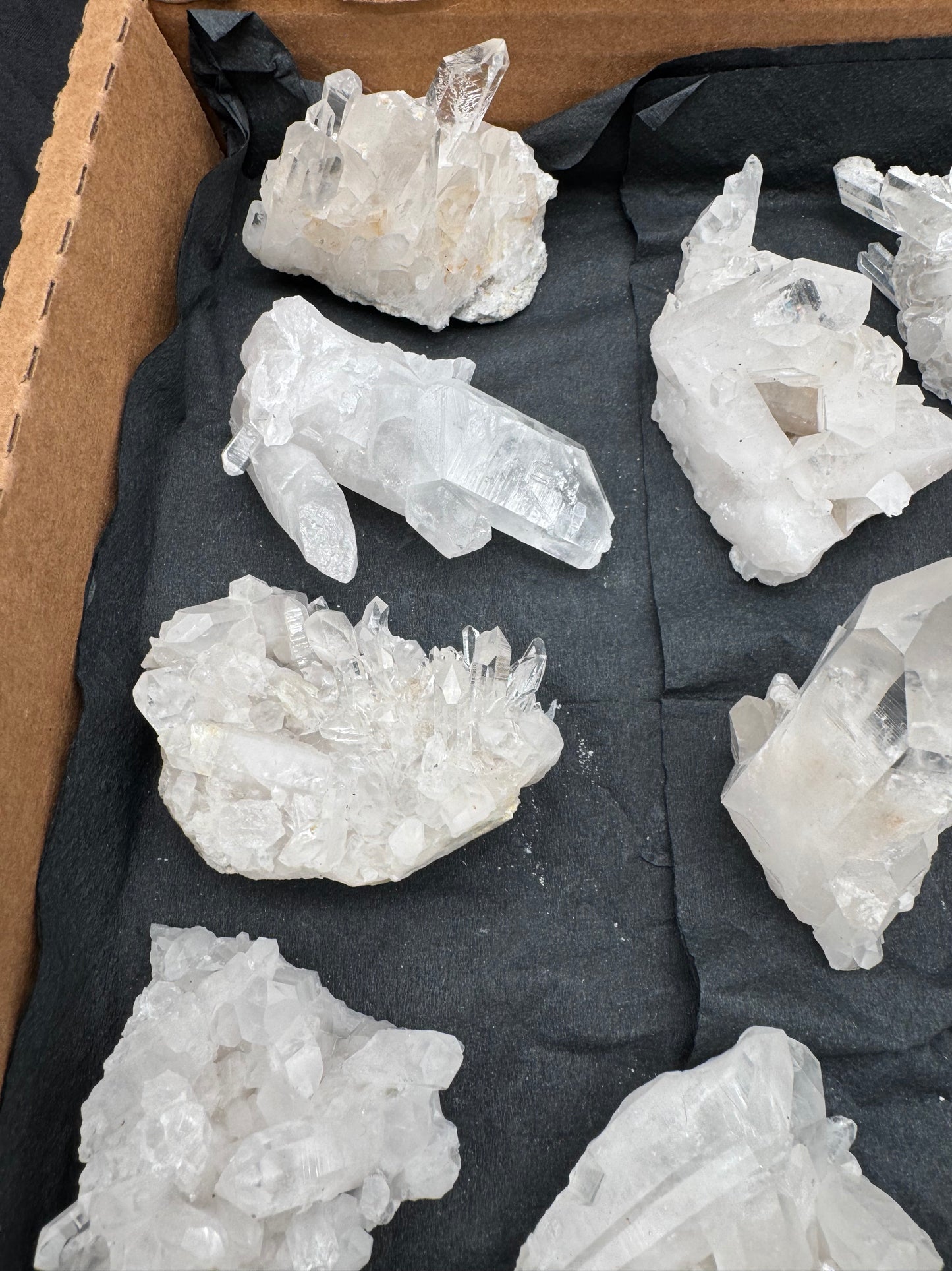 5lb Flat of Medium/Small Clusters