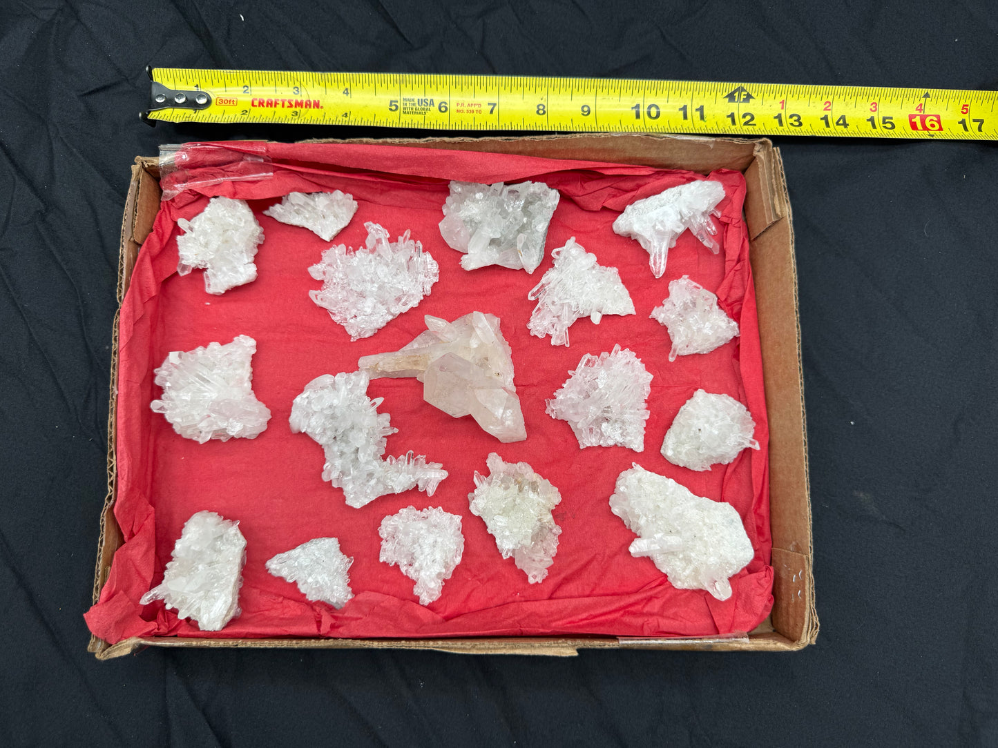 1.7lb Flat Glassback Small Clusters