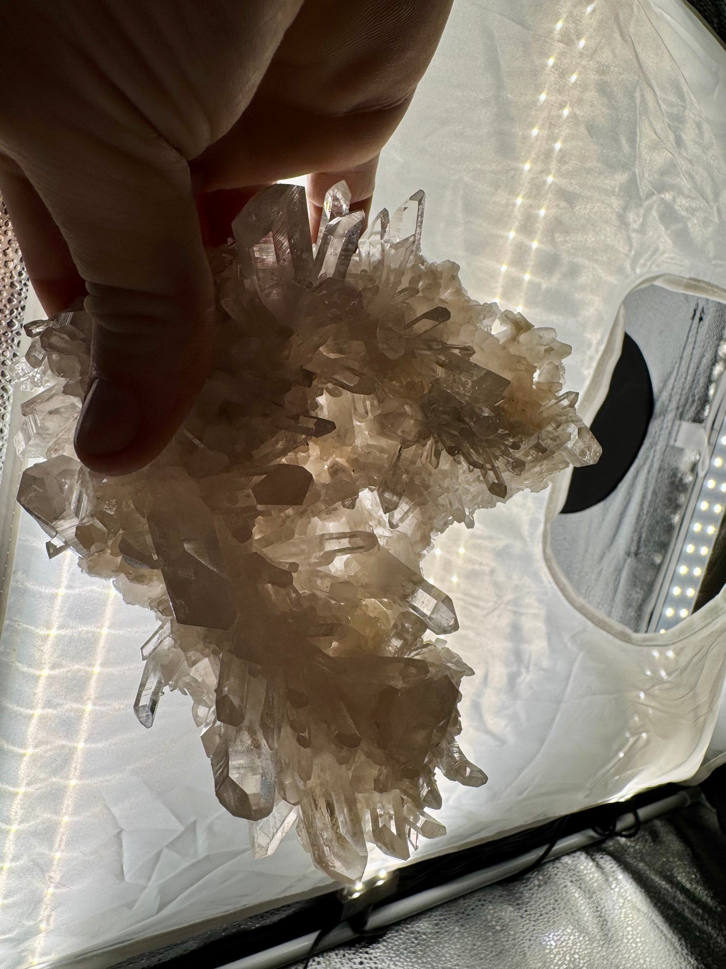 1.15lb Glassback Small Cluster