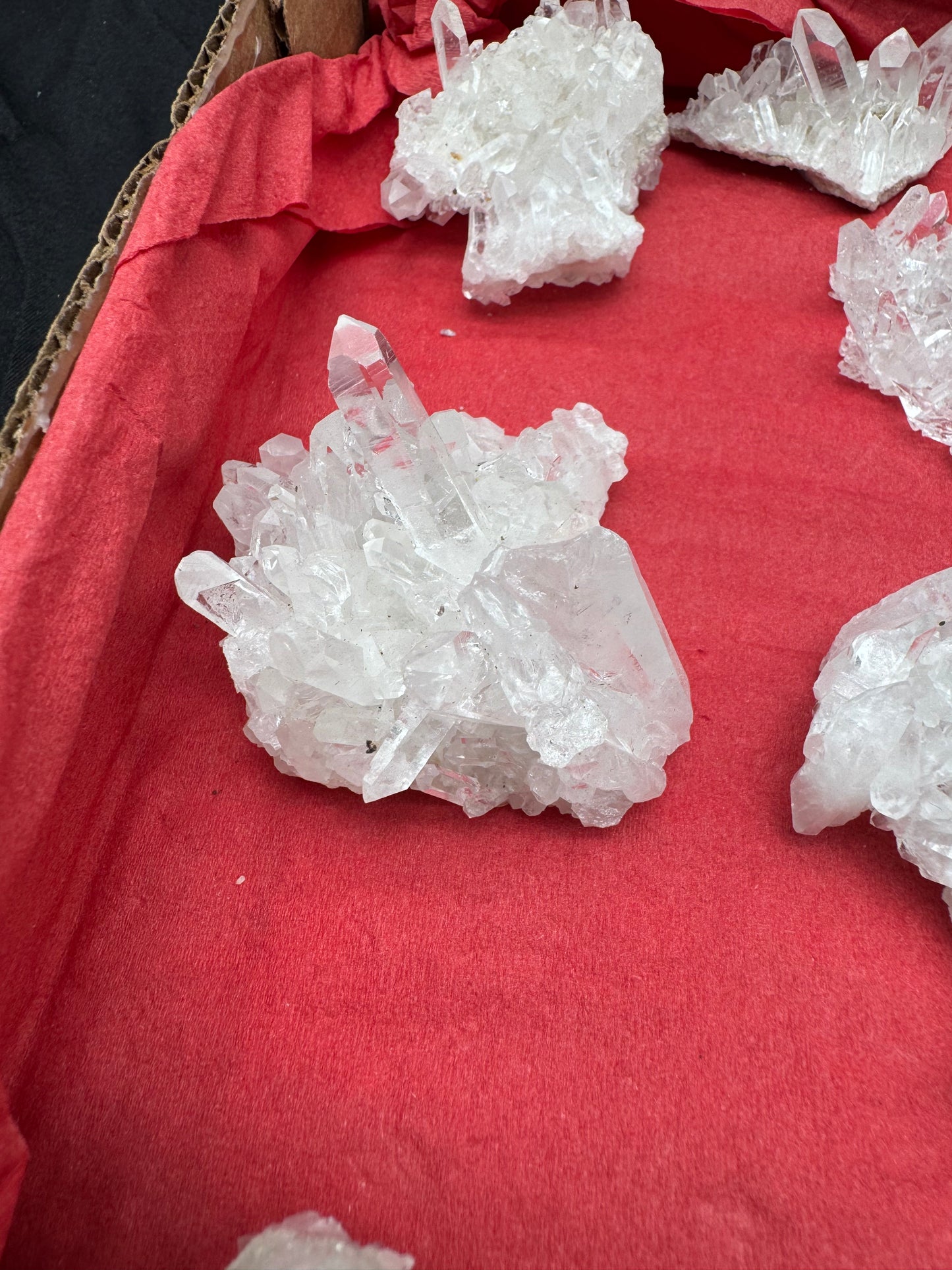 1.7lb Flat Glassback Small Clusters