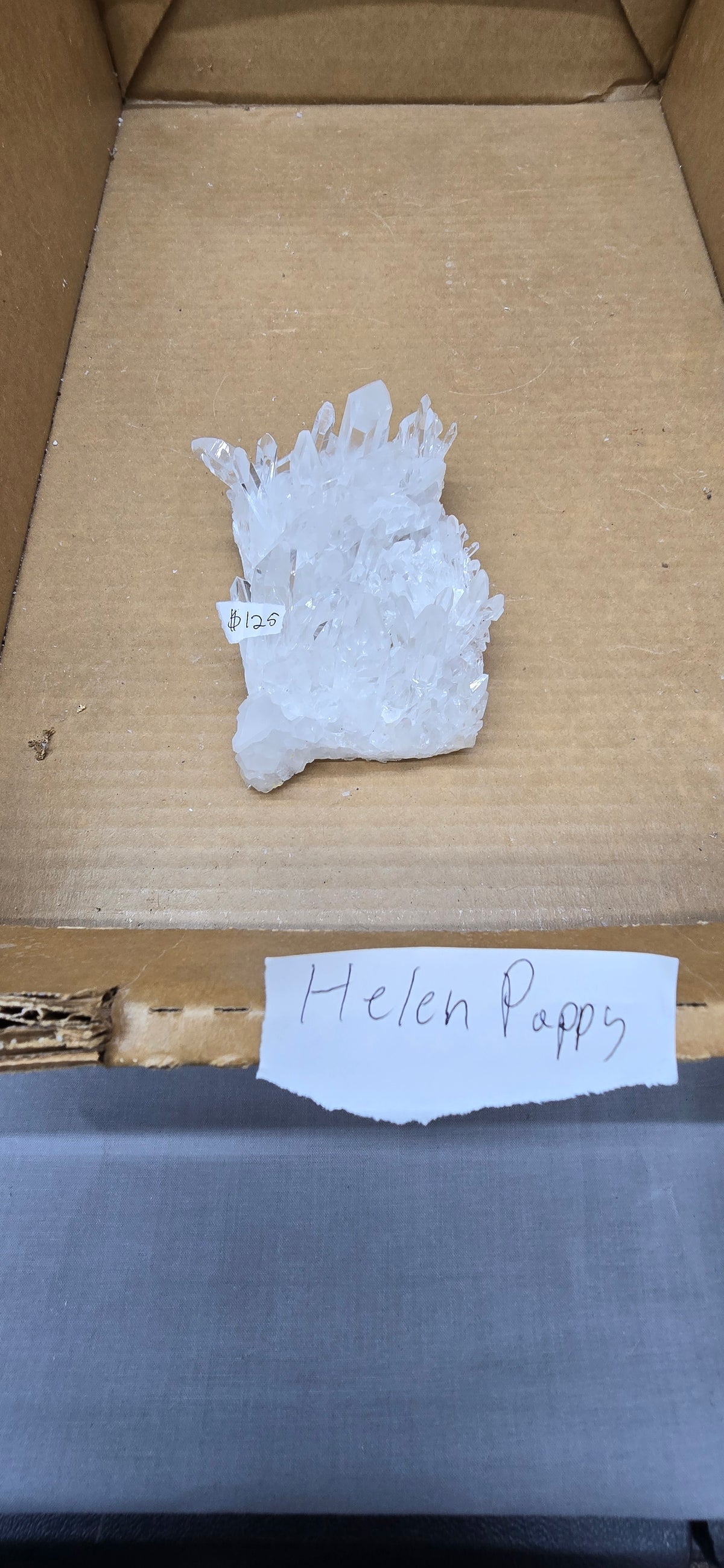 Helen Pappy 10.8.26 Live Show