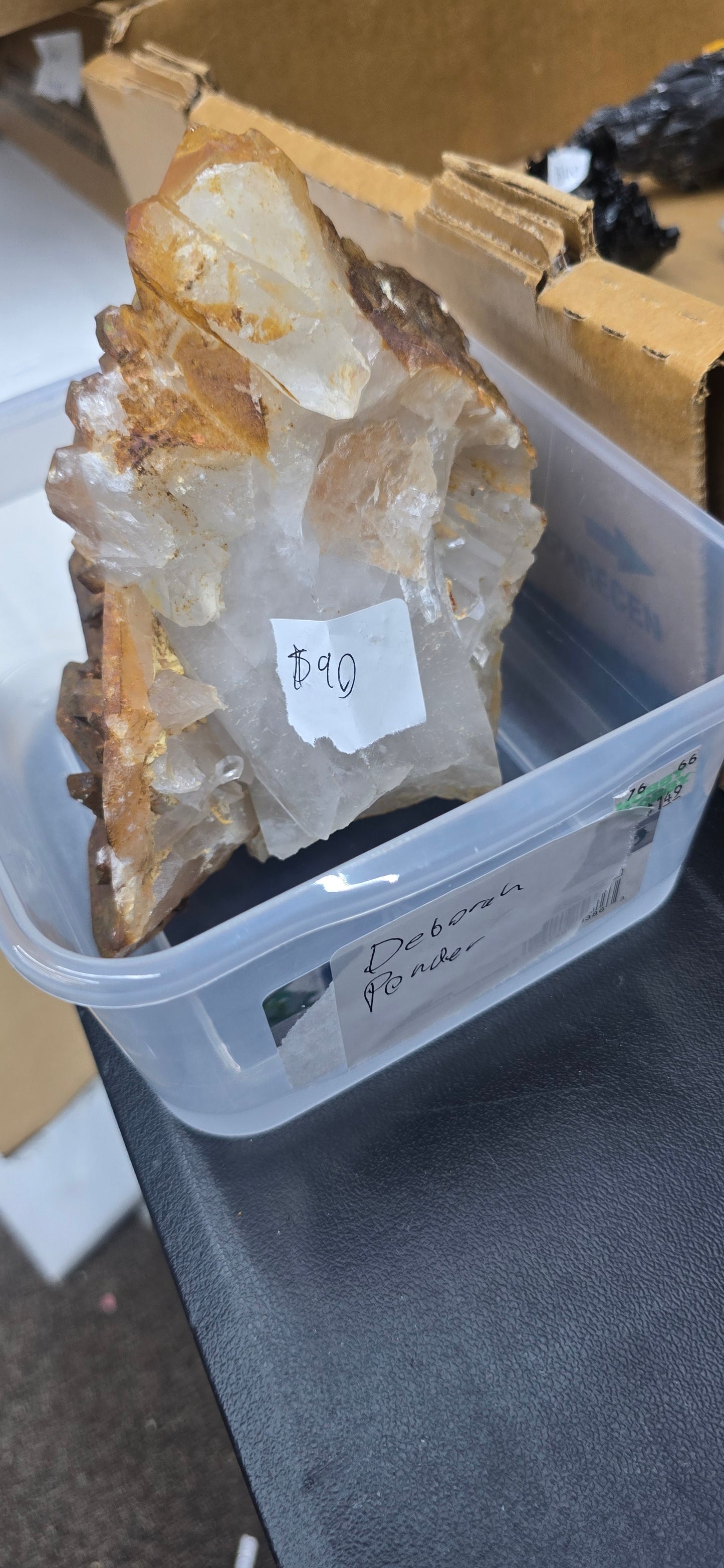 Deborah Ponder 7.30.26 Live Show