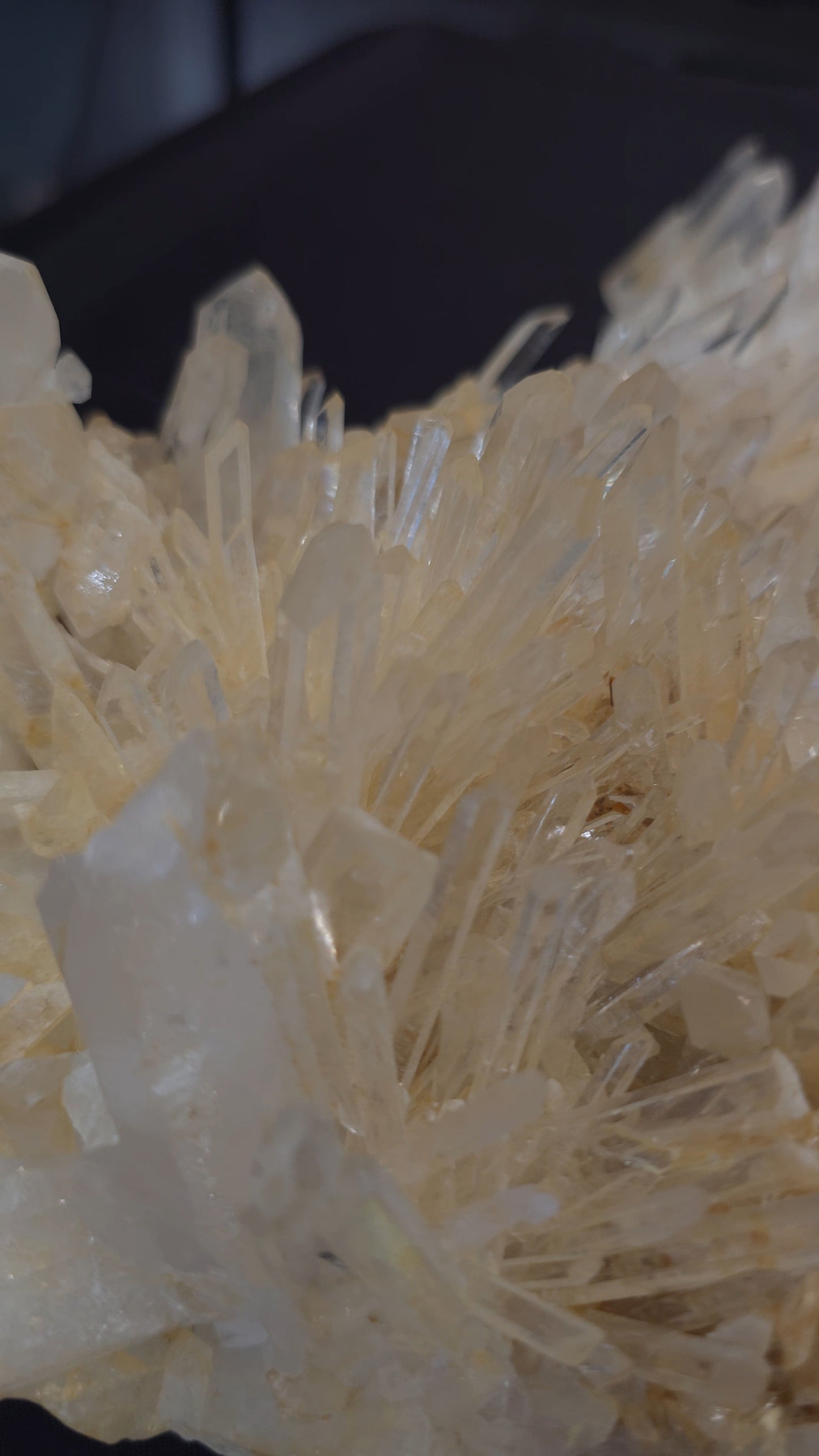 Clear/Golden Quartz ClusterBig Gold #2