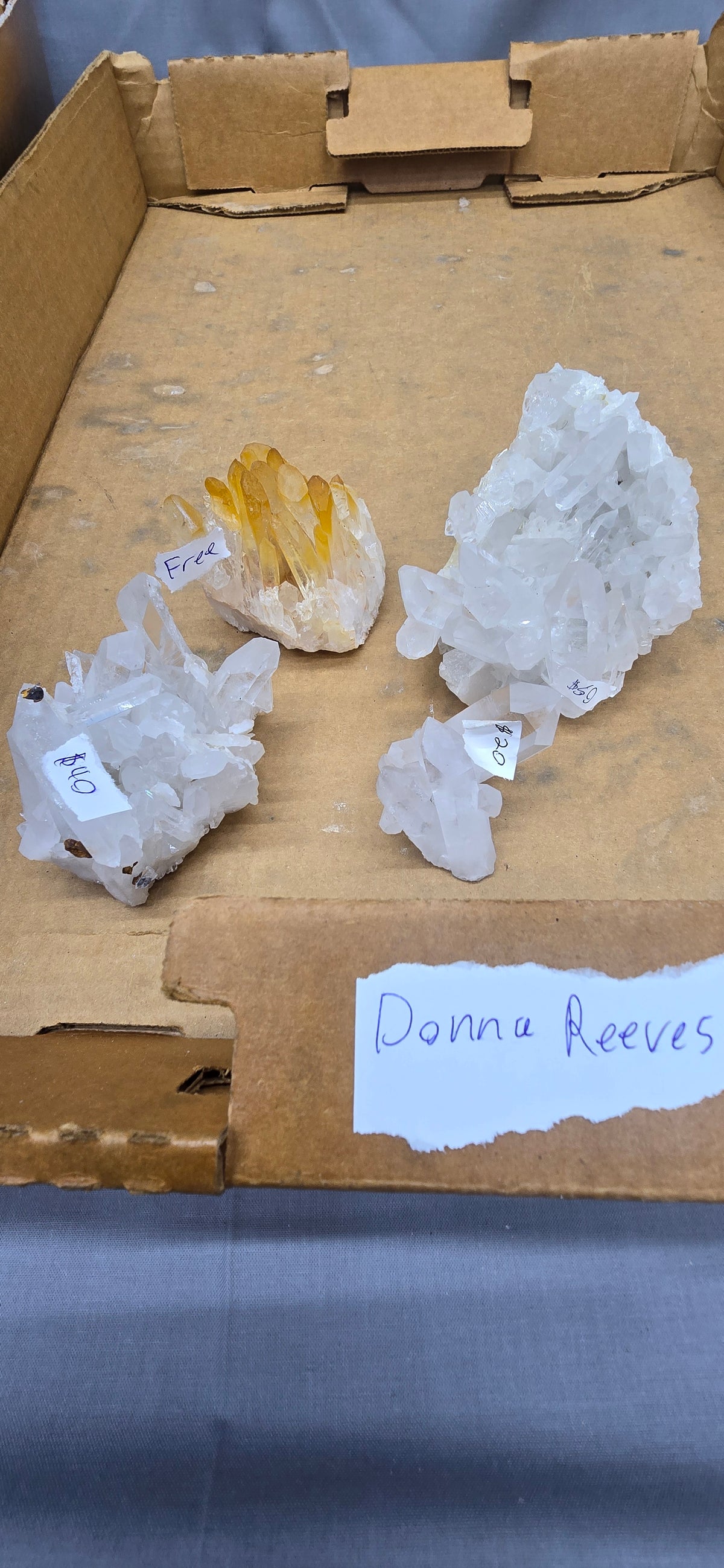 Donna Reeves 9.10.26 Live Show