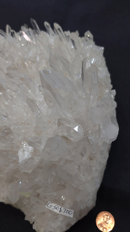 Clear Cluster G50