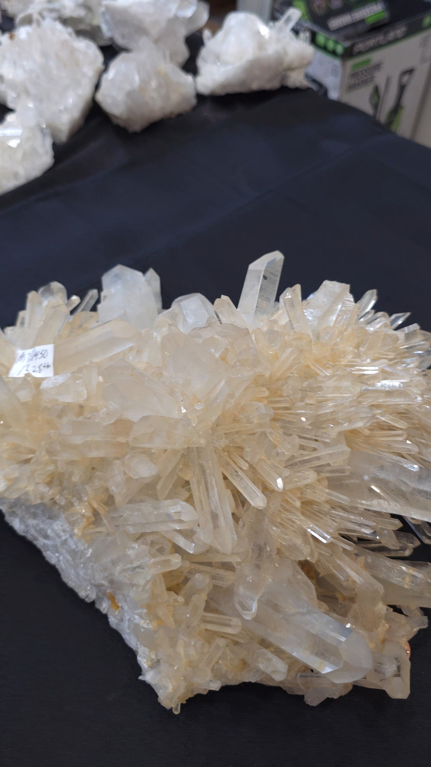 Clear Quartz Cluster M7