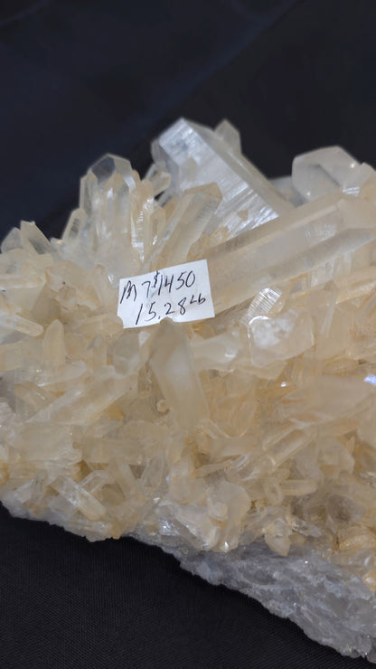 Clear Quartz Cluster M7