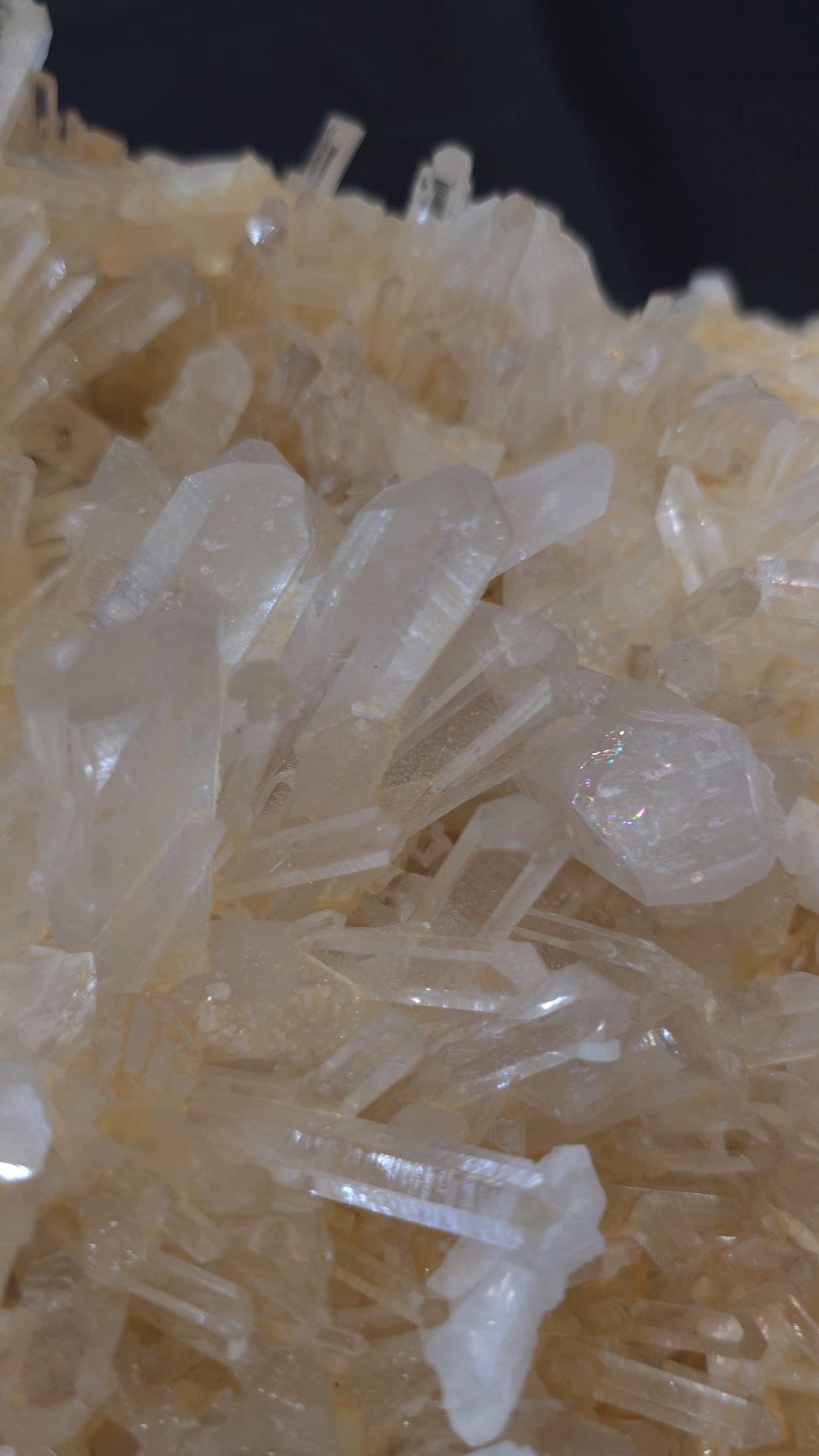 Clear/Golden Quartz ClusterBig Gold #2
