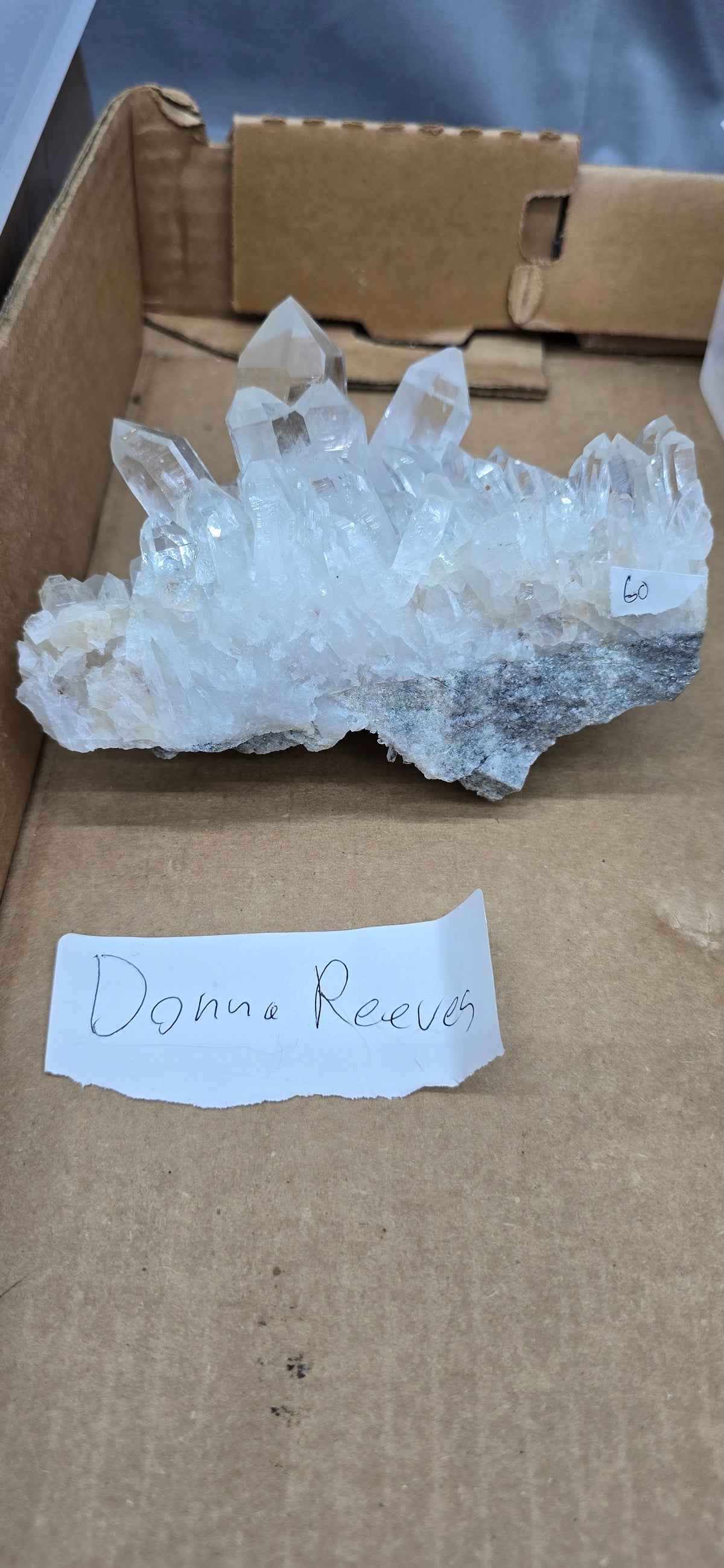 Donna Reeves 10.18.26 Live Show