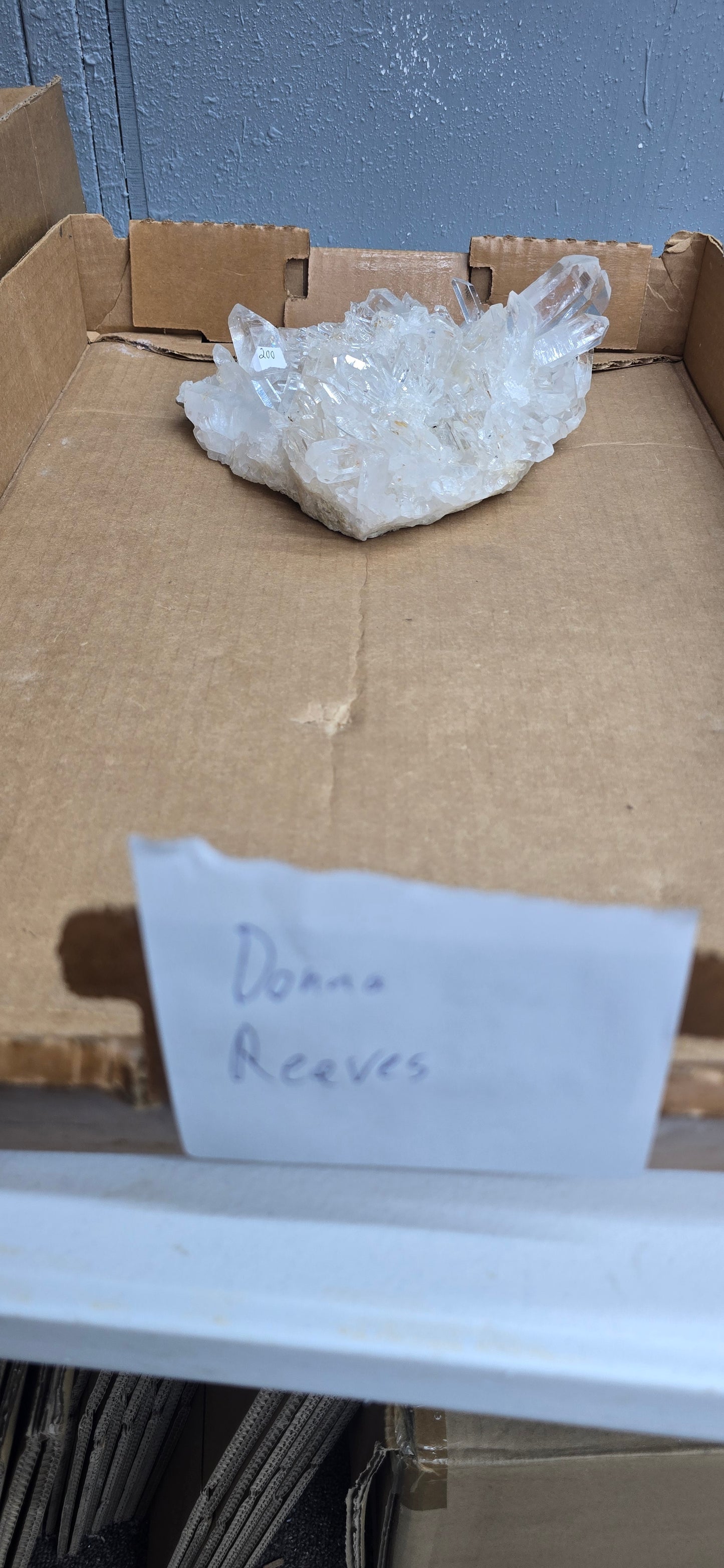 Donna Reeves 7.21.26 Live Show